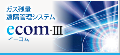 ecom-III